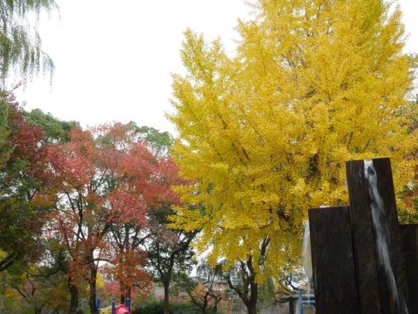 f:id:gzutetsu:20161120150103j:image