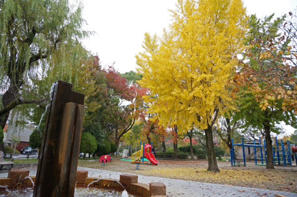 f:id:gzutetsu:20161120150928j:image
