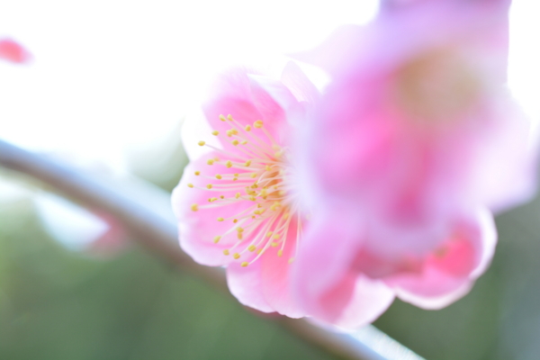 f:id:gzutetsu:20170304132440j:image