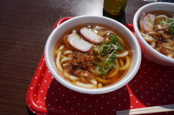 f:id:gzutetsu:20170304133645j:image