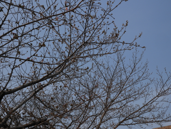 f:id:gzutetsu:20170330081753j:image