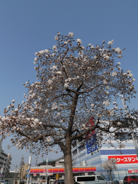 f:id:gzutetsu:20170330083751j:image