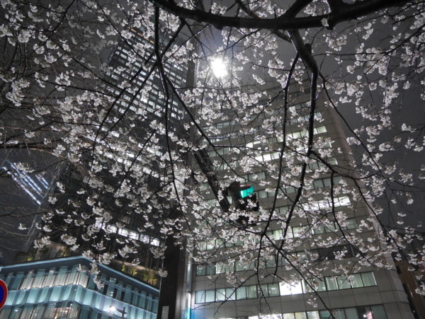f:id:gzutetsu:20170406205221j:image