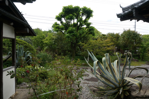 f:id:gzutetsu:20170505121451j:image