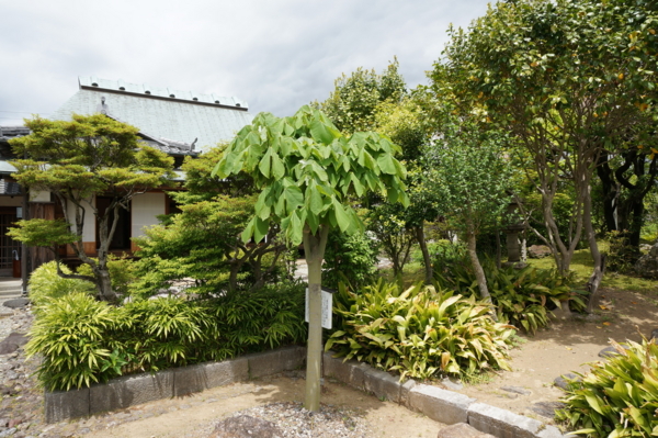 f:id:gzutetsu:20170505124013j:image