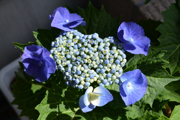 f:id:gzutetsu:20170604085306j:image f:id:gzutetsu:20170604085306j:image