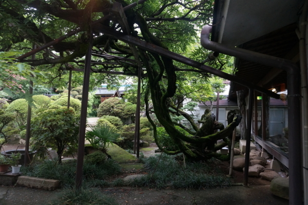 f:id:gzutetsu:20170808180433j:image