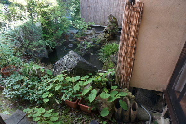 f:id:gzutetsu:20170810082811j:image