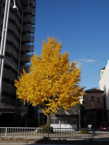 f:id:gzutetsu:20171201084127j:image
