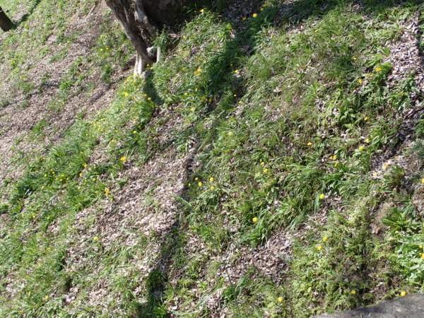 f:id:gzutetsu:20180317130950j:image f:id:gzutetsu:20180317130950j:image