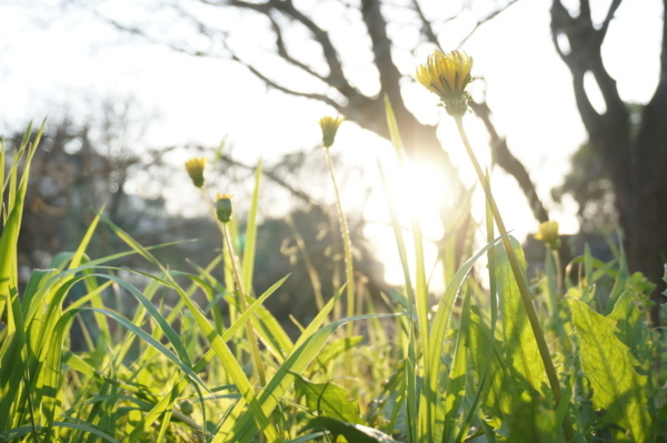 f:id:gzutetsu:20180317170833j:image f:id:gzutetsu:20180317170833j:image