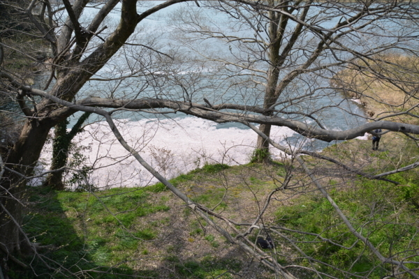 f:id:gzutetsu:20180401131434j:image
