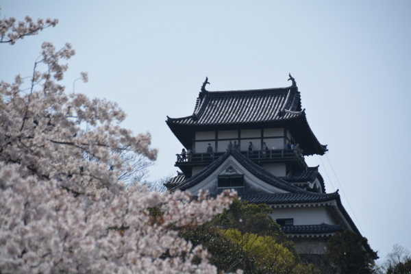 f:id:gzutetsu:20180401131928j:image