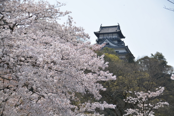 f:id:gzutetsu:20180401131948j:image