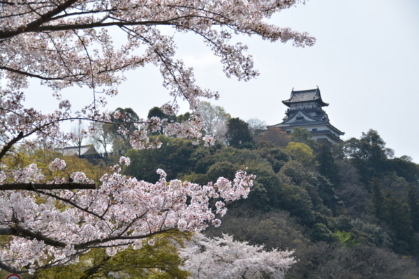 f:id:gzutetsu:20180401132715j:image