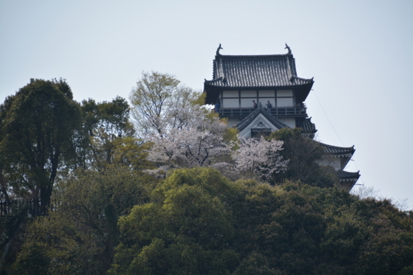 f:id:gzutetsu:20180401140230j:image
