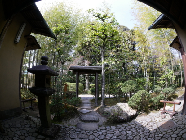 f:id:gzutetsu:20180401141527j:image