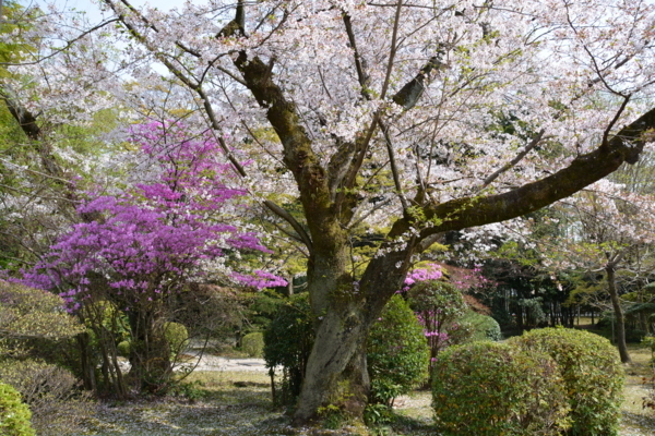 f:id:gzutetsu:20180401142453j:image