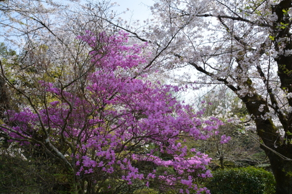 f:id:gzutetsu:20180401142516j:image