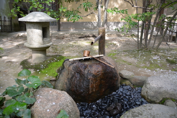 f:id:gzutetsu:20180401142706j:image