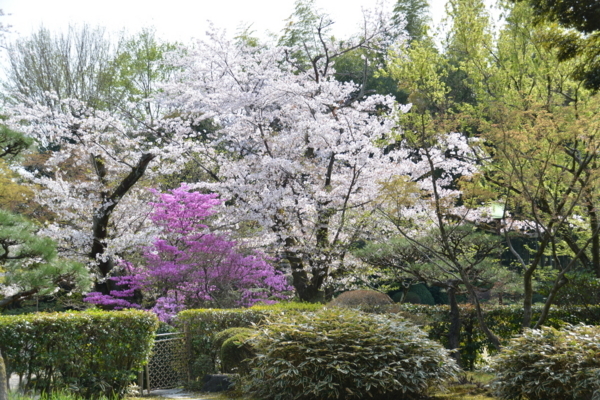 f:id:gzutetsu:20180401144723j:image