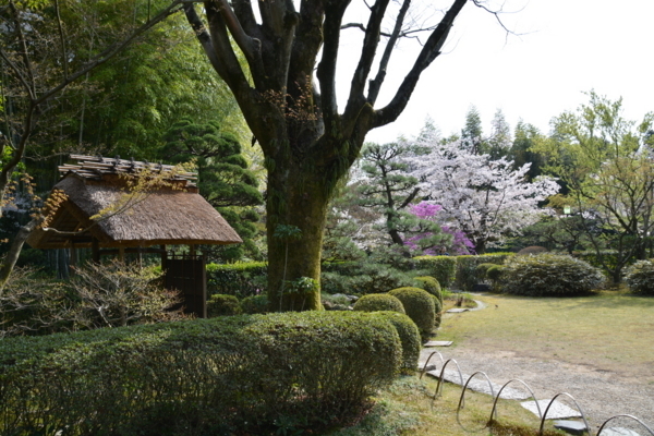 f:id:gzutetsu:20180401144758j:image