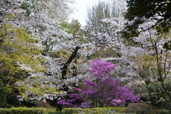f:id:gzutetsu:20180401145223j:image