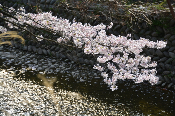 f:id:gzutetsu:20180401151538j:image