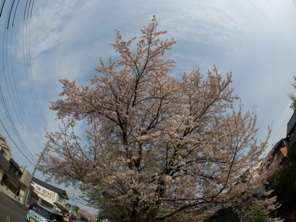 f:id:gzutetsu:20180401152454j:image