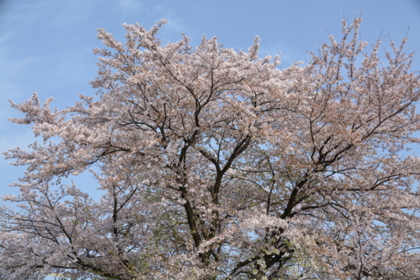 f:id:gzutetsu:20180401152817j:image