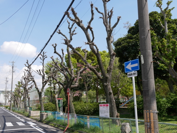 f:id:gzutetsu:20180408130428j:image