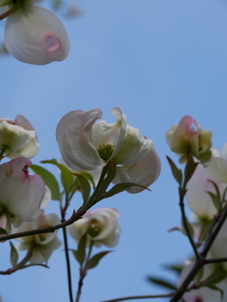 f:id:gzutetsu:20180408131303j:image