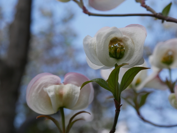 f:id:gzutetsu:20180408131354j:image