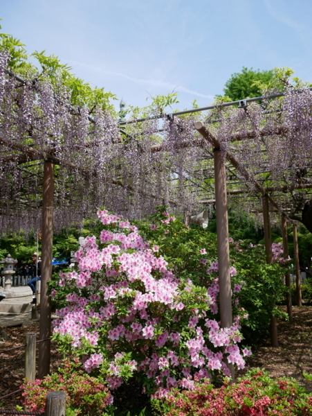 f:id:gzutetsu:20180422111640j:image