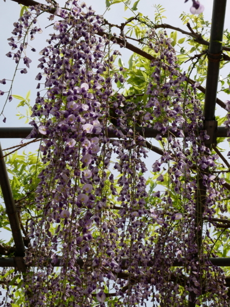 f:id:gzutetsu:20180422125331j:image