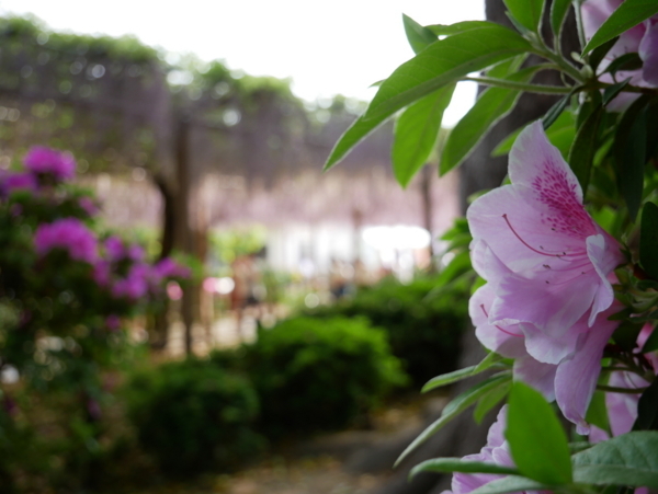 f:id:gzutetsu:20180422142241j:image