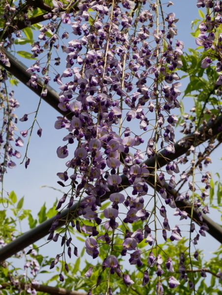f:id:gzutetsu:20180422142624j:image