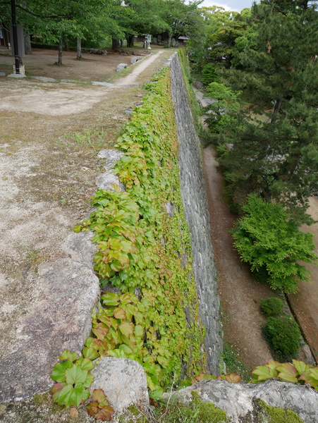 f:id:gzutetsu:20180503144954j:image