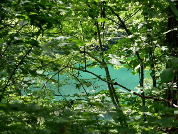 f:id:gzutetsu:20180815094712j:image