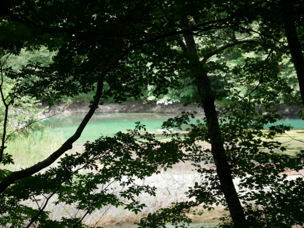f:id:gzutetsu:20180815105608j:image