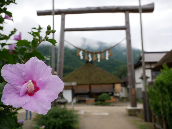 f:id:gzutetsu:20180816094326j:image