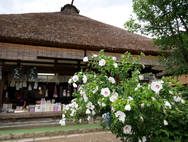 f:id:gzutetsu:20180816100755j:image