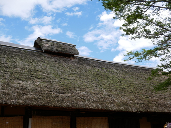 f:id:gzutetsu:20180816112908j:image