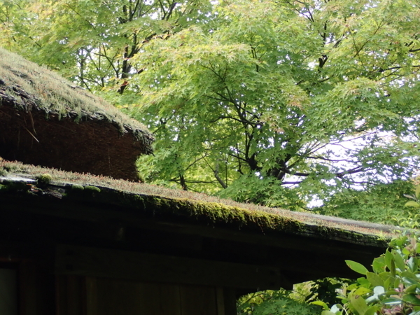 f:id:gzutetsu:20180816144436j:image