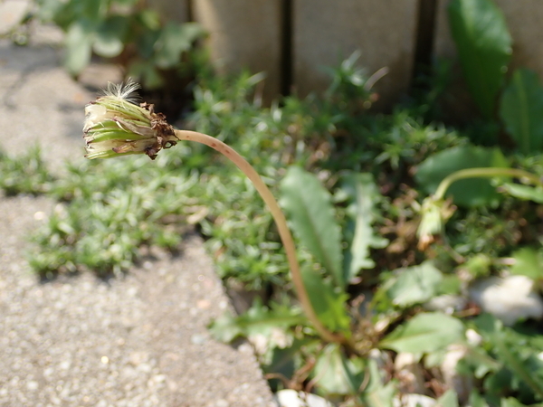 f:id:gzutetsu:20180922131506j:image f:id:gzutetsu:20180922131506j:image