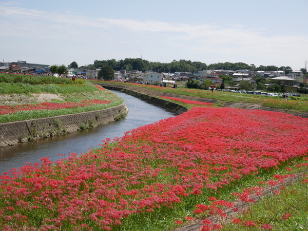 f:id:gzutetsu:20180923120127j:image