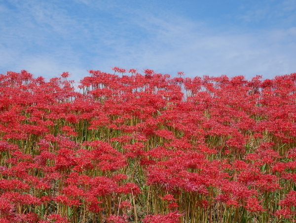 f:id:gzutetsu:20180923121100j:image
