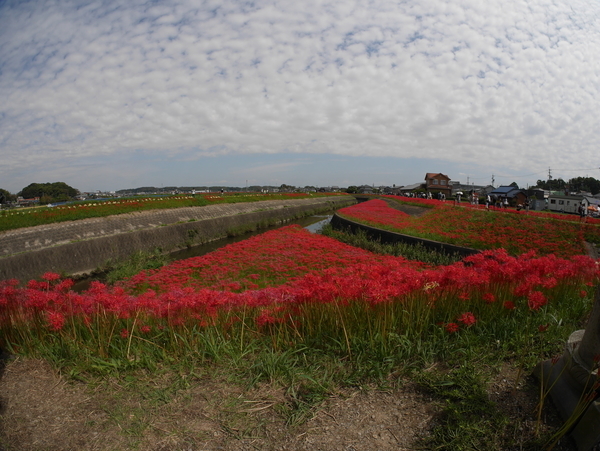 f:id:gzutetsu:20180923122144j:image