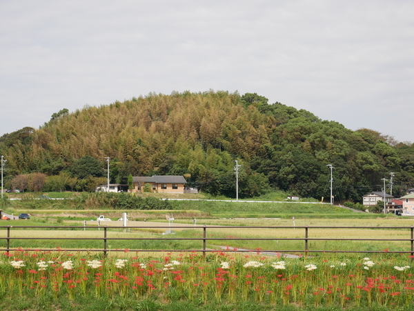 f:id:gzutetsu:20180923122145j:image