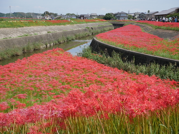 f:id:gzutetsu:20180923122221j:image